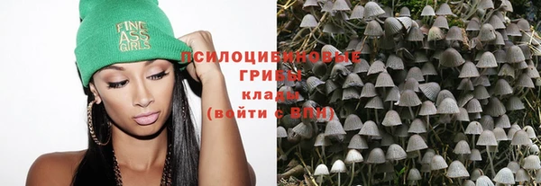 гидра Волосово