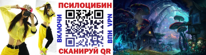 Псилоцибиновые грибы Psilocybe  Купить  Лабинск 